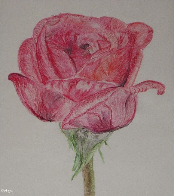 Schliessen von DSC00011n.jpg