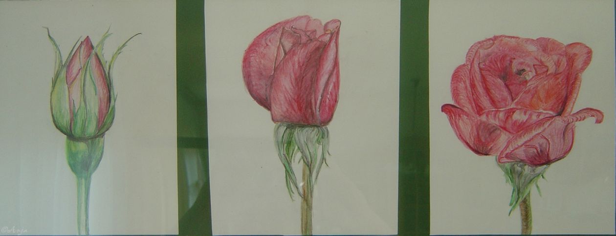 Schliessen von DSC00586.jpg