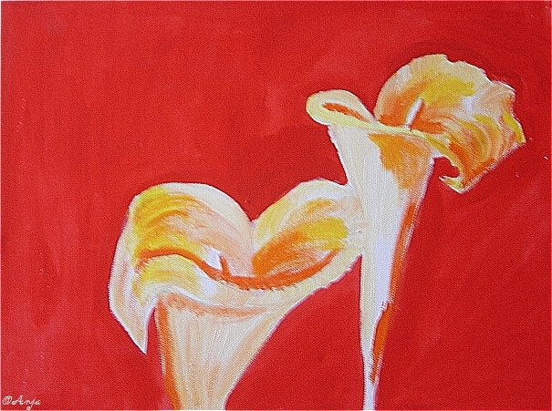 Schliessen von DSC02440.jpg