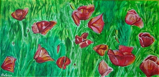 Schliessen von DSC02441.jpg