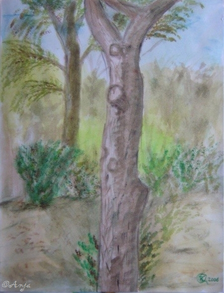 Schliessen von DSC02474.jpg