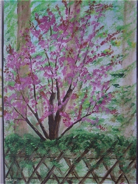 Schliessen von DSC02479.jpg