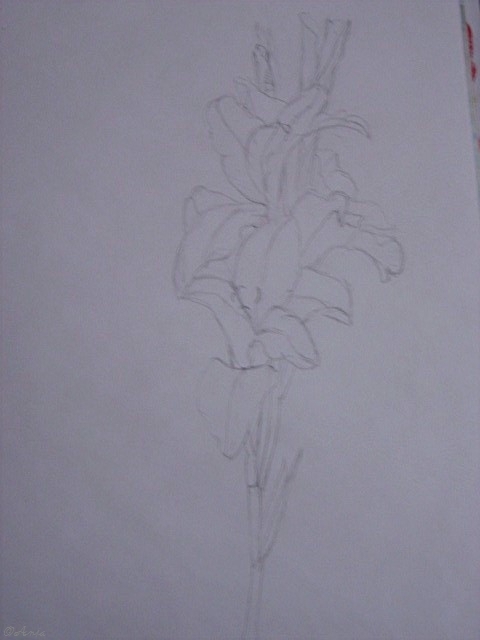 Schliessen von DSC02496.jpg