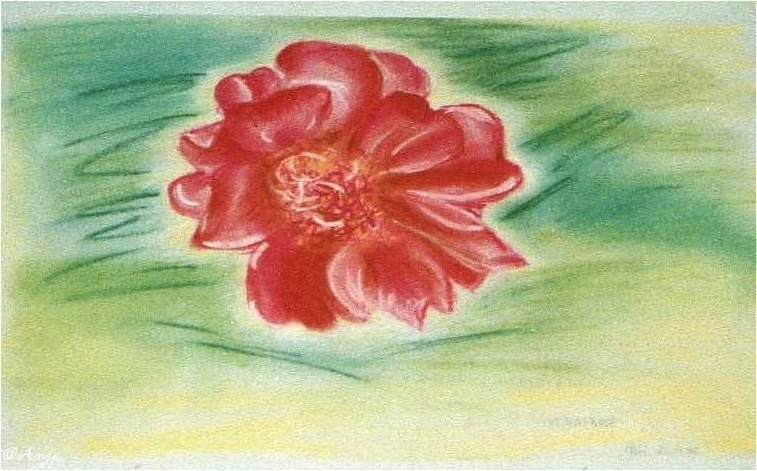 Schliessen von img026.jpg