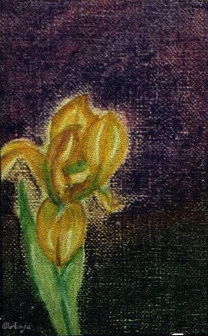 Schliessen von img052.jpg