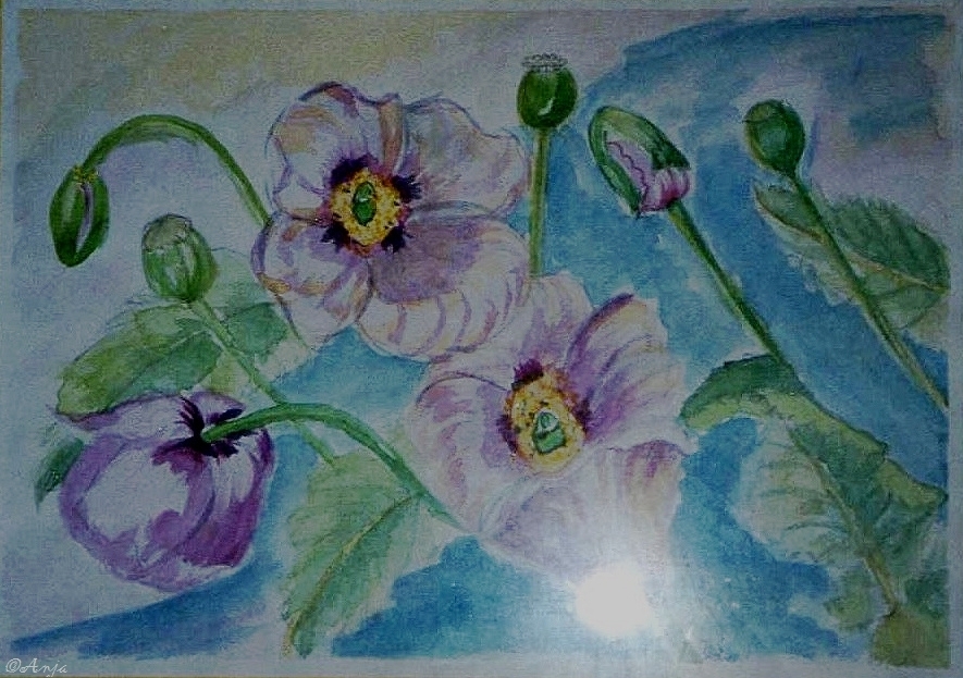 Schliessen von img097.jpg