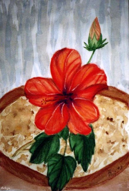 Schliessen von img099n.jpg