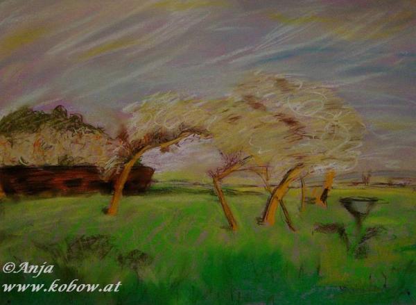 Klick für Originalgröße :DSC00576a.jpg