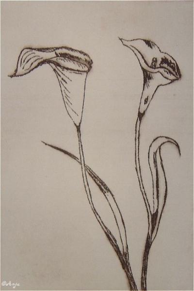 Klick für Originalgröße :DSC01603n.jpg