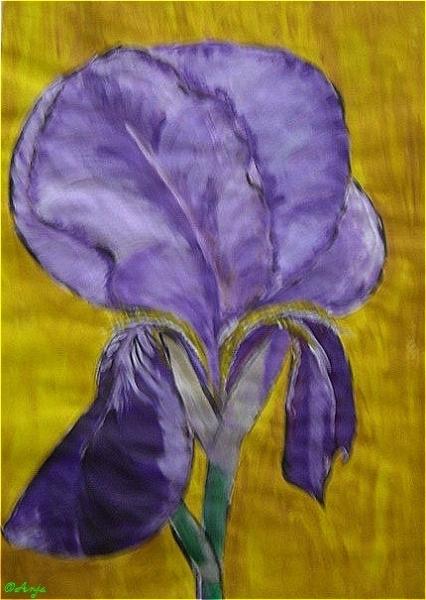 Klick für Originalgröße :DSC02453.jpg