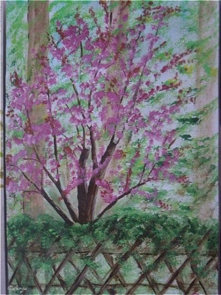 Klick für Originalgröße :DSC02479.jpg