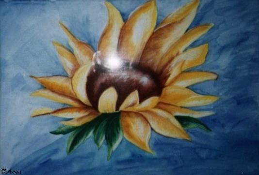 Klick für Originalgröße :img004.jpg