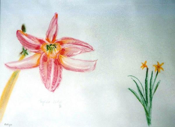 Klick für Originalgröße :img019n.jpg