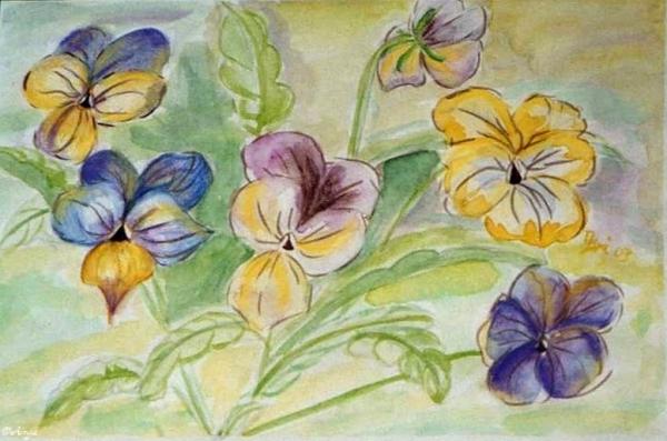 Klick für Originalgröße :img098.jpg