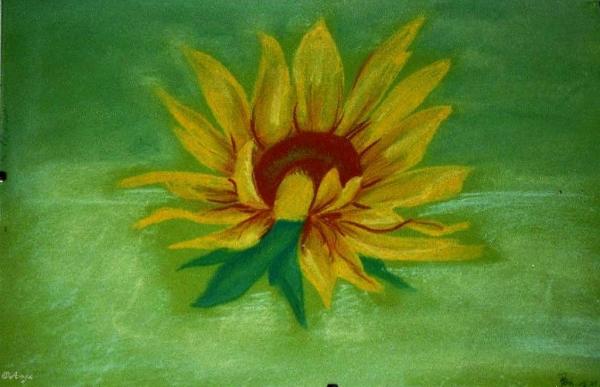 Klick für Originalgröße :img103.jpg