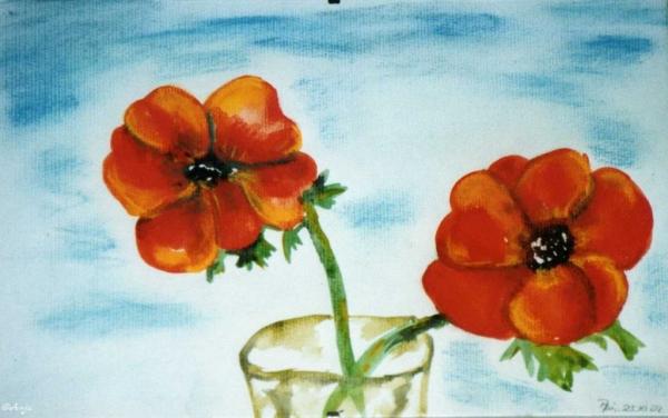 Klick für Originalgröße :img105.jpg