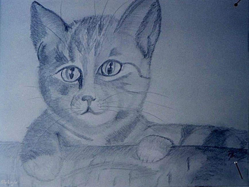 Schliessen von img063.jpg