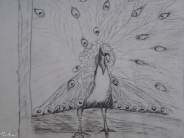 Klick für Originalgröße :DSC02481c.jpg