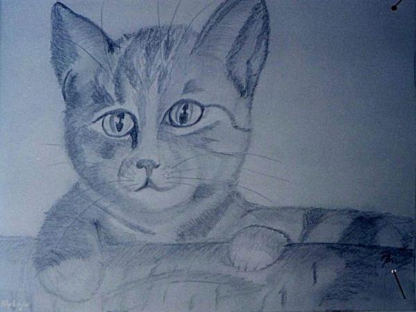 Klick für Originalgröße :img063.jpg