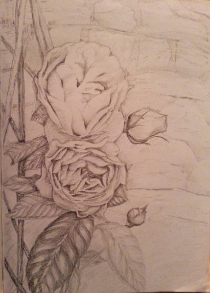 Klick für Originalgröße :003_2015-01-0523.36.01-1_kopie.jpg